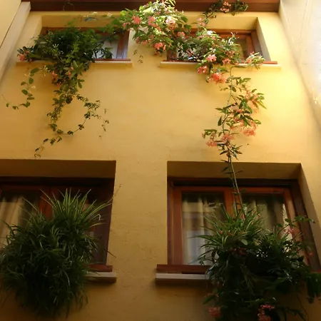 Lux San Miguel Lejlighedshotel 2*